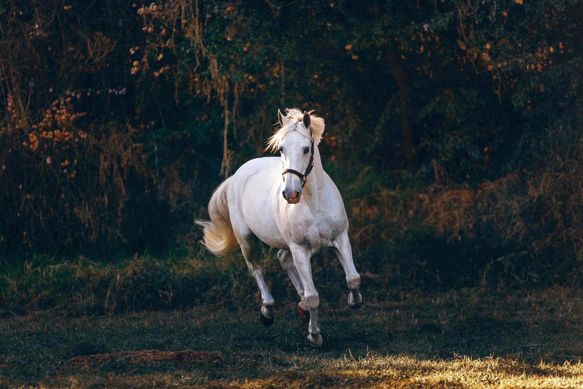 Specialist Vets in Staten Island